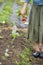 Closeup of woman`s hand holding bunch of organic radish from the garden