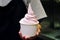 Closeup of woman `s hand holding takeaway cup with organic frozen yogurt ice cream