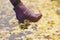 Closeup of woman\'s shoe with leaves stuck on her heal
