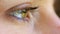 Closeup of a woman staring and blinking while looking focused and thinking of ideas. Green eyes of a female with good