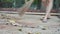 Closeup of a woman sweeps a dry leaves outdoor