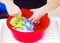 Closeup womans hands handwashing clothes in red plastic washbucket, scrubbing and squeezing fabrics, laundry housework concept