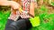 Closeup womans hands using gardening tool filling soil into green flower pot