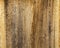 Closeup wood of nature texture and background