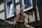 Closeup of a wooden decorative windmill on display at a Christmas scene