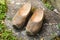 Closeup wooden dutch shoes, traditional clogs footwear