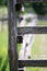 Closeup of wooden fence on a corral farmland rural scene