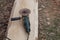 Closeup of wooden plank of pine without peel and angle grinder machine before abrading process