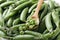 Closeup of wooden spoon full of green peas on the heap of peas in their pods