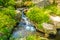 Closeup of woodland stream and waterfall with silky slow motion water and many plants in the rocks