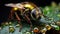 Closeup on a worker European wasp. Generative AI