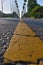 Closeup of yellow centerline on cracked avenue with rows of tall palm trees on both sides