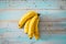 Closeup of yellow and marron bananas on a blue table of wood - diet and healthy and vegetarian or vegan lifestyle - potassium and
