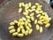 Closeup yellow sericulture in basket at market