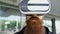 Closeup of Young bearded man using virtual reality headset for 360 VR experience and take of glasses smiling outdoors