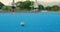 Closeup of young hockey players running towards a ball and hitting it trying to score a goal during match on astroturf