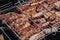 Closeup of yummy marinated ribs for barbeque
