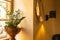 Closeup Zamioculcas plant in an old jug on the windowsill. Cozy authentic interior.