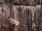 Closing details of an old wooden barn door