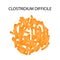 Clostridium difficile. Pathogenic flora. The bacterium causes intestinal diseases. Infographics. Vector illustration.