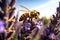 Closuep of a bee perched atop a vibrant lavender flower, AI-generated.