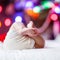 Closup of newborn baby feet and diaper with Christmas tree and colorful garland lights in the background laying on the