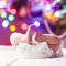 Closup of newborn baby feet and diaper with Christmas tree and colorful garland lights in the background laying on the