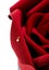 Closup of rose flower shaped cake on background