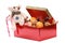 Closup shot of a gift box full of stuff with a teddy bear holding a candy cane