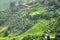 Closure look of the green terraces in Pokhara Valley