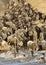Closure look Wildebeest crossing Mara river