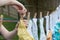 Cloth Diapers on a Clothesline