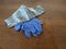 Cloth Facemask with Gray Floral Pattern and Pair of Disposable Blue Gloves