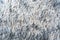 Cloth furry carpet natural fluffy hairy seamless cotton textured