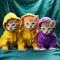 clothed cute cats looking at the camera are the epitome of adorable and stylish pet fashion.