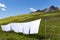 Clothes drying in a prairie of the alps