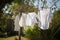 clothesline with freshly laundried towels and sheets hanging in the wind