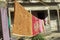 Clothesline in front of the house