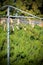 Clothespins on a Clothesline