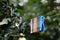 Clothespins on a rope hanging outside house and apple tree