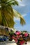 Clothing drying on palm