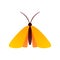 Clothing moth icon