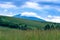 A cloud atop of a blue mountain with a green hill slope, trees, tall grass in foreground