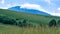 A cloud atop of a blue mountain with a green hill slope, trees, tall grass in foreground