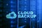 Cloud backup. Server data loss prevention. Cyber security.