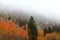 Cloud cover over Sierra Mountains