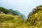 Cloud covering green cliff at high altitude