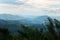 Cloud covers the mountain and cloud forest