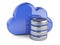 Cloud with database symbol. Computing and storage concept.