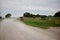 Cloud of dust over a rural dirt road